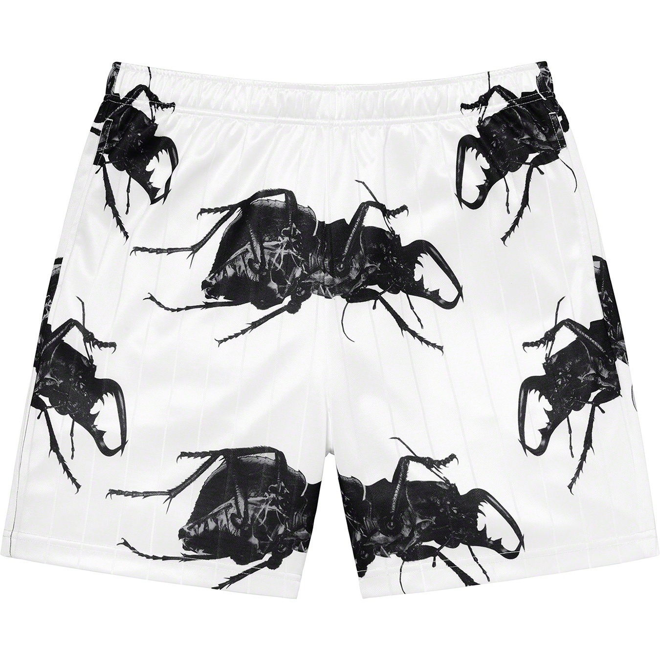 Beetle Short view 8